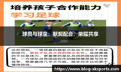 星空体育官网